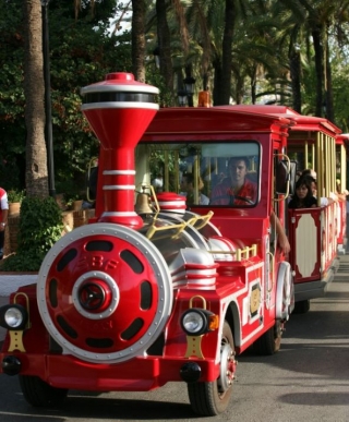 un recorrido en tren por el parque